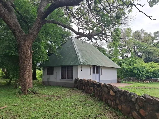 cottage in mfuwe zambia with tall tree